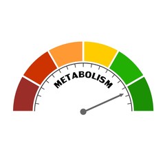 Metabolism level scale with arrow. The measuring device icon. Sign tachometer, speedometer, indicators. Infographic gauge element. - obrazy, fototapety, plakaty