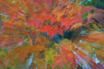 Blazing Leaves Impressionist Dream
