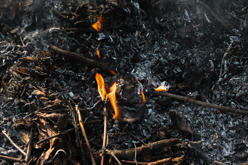 Naklejka premium fire, flame and smoke of a fire, bonfire on earth