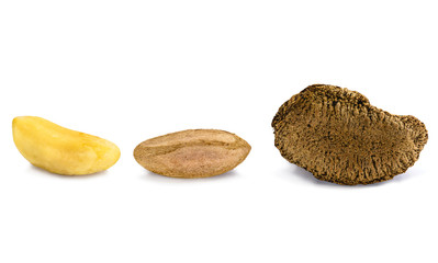 Fototapeta na wymiar Peeled Brazilian nut, outside the coconut, known as 