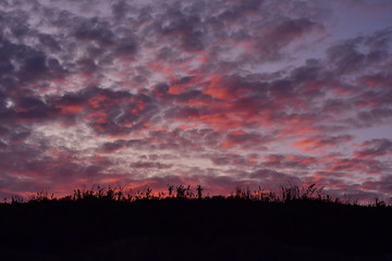 Dense pink to purple clouds in dark evening sky after sunset.