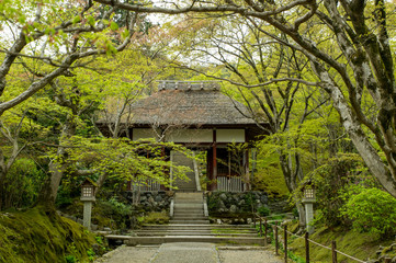 京都　常寂光寺