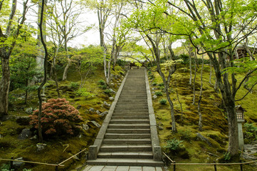 Obraz premium 京都 階段