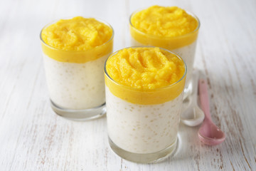 Tapioca pudding with mango puree
