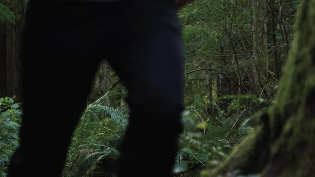 Slow Pan of Guy Jogging in the Woods with Lush Green Foliage