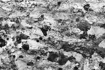 Abstract surfaces are dirty and scratched frames, the use of dust and grains particles or grains of dirt.

