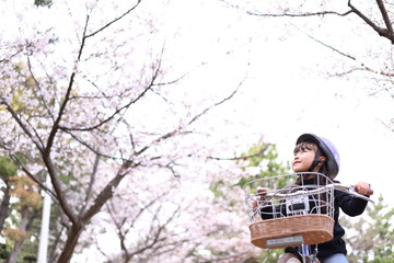 桜咲く　自転車デビュー