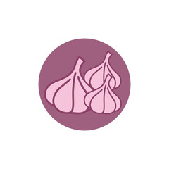 Garlic vector icon illustration design template