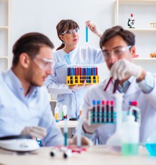 Team of chemists working in the lab