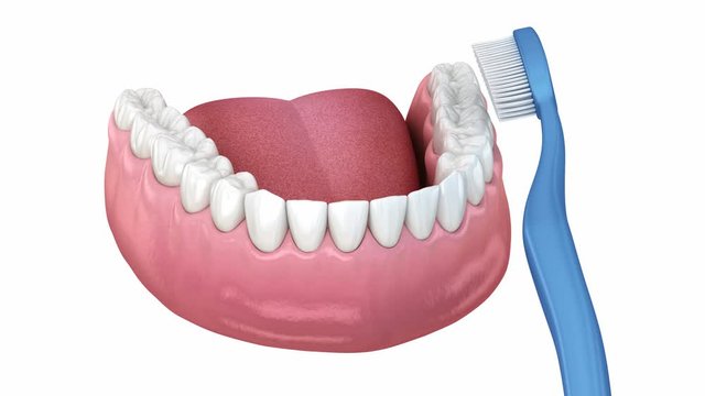 Teeth brushing, cleaning process. Medically accurate 3D animation of oral hygiene