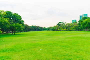 Green grass field with tree in public park