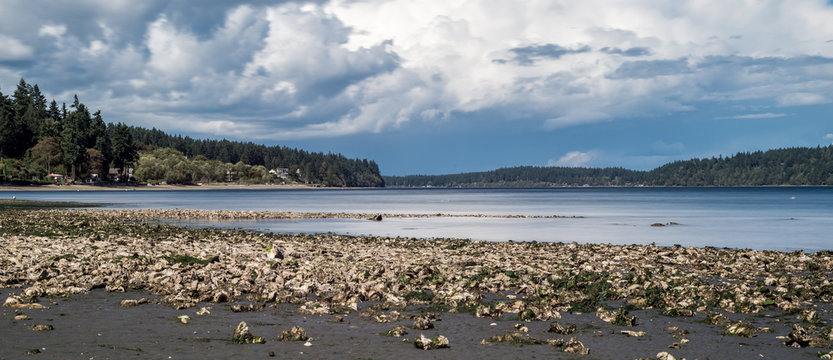 Low Tide At Illahee SP Beach