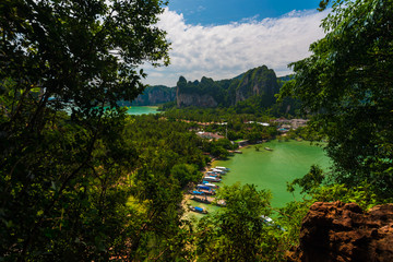 Phi Phi island with coconut green tree at the bay viewpoint
