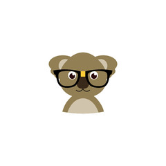 Cute bear koala face in glasses isolated on white background