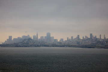 Fototapeta premium San Francisco, California / USA - August 25, 2015: San francisco view from Alcatraz penitentiary, San Francisco, California, USA