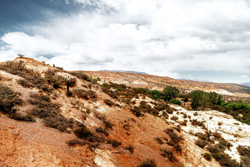 Fototapeta na wymiar Hillside in the Quebrada de Humahuaca valley, Jujuy, Argentina