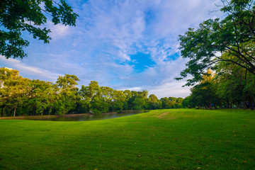 Obraz premium Green public park with meadow field and blue sky cloud