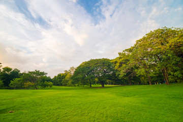 Green public park with meadow field and blue sky cloud