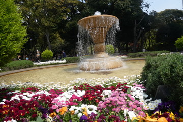 Flower Fountain 