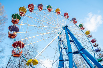 a Ferris wheel from an amusement Park with colorful baskets of seats against the blue sky and tree branches