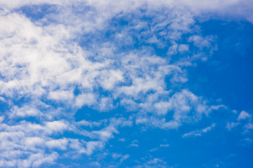 Fototapeta premium Blue sky background with tiny cloud