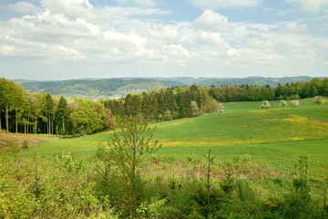 Schwäbischer Wald