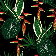 Obrazy  Egzotyczne tropikalne czerwone rajskie kwiaty z naturalnymi liśćmi palmowymi. Szczegółowa ilustracja do edycji. Czarne tło.