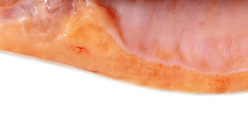 Trout fish meat on white background.