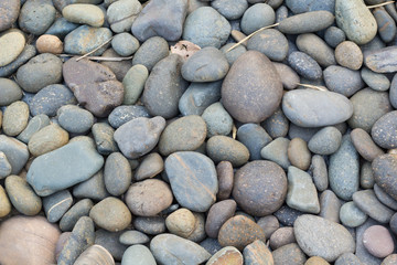 pebbles on the beach