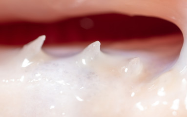 Sharp teeth of a trout fish as a background.