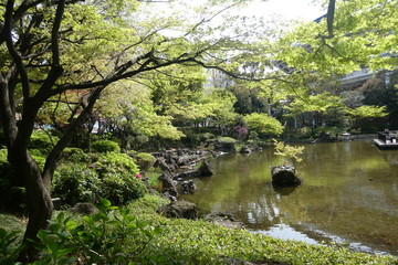 Japanese Garden 
