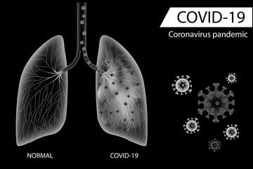 Human lungs compare between normal side and coronavirus disease damage ,Balck and white design vector
