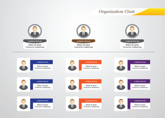 Organization Chart Infographics , vector design