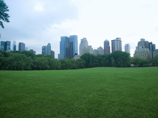 Central park in New York city without people. Clean and empty lawn during the day in a Manhattan park. Skyscrapers jut out from behind the trees.