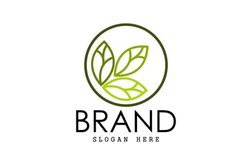 Leaf logo, free hand vector leaf, leaf with frame and brand