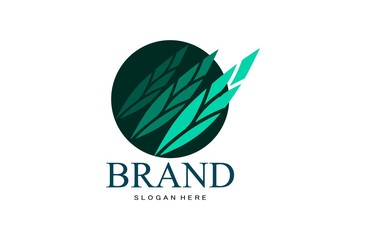 Leaf logo, free hand vector leaf, leaf with frame and brand