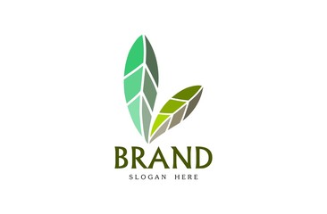 Tropical Plant logo, free hand vector leaf, leaf with frame and brand