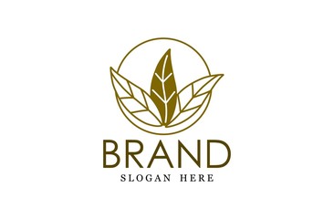 Leaf logo, free hand vector leaf, leaf with frame and brand