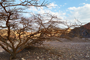 View in Negev desert, Israel