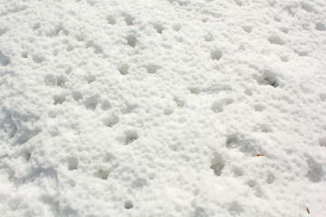 Fototapeta na wymiar white snow