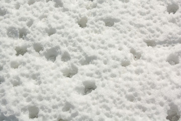 white snow