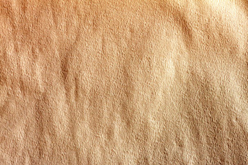 yellowish paper background