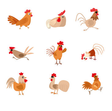 Chicken vector cartoon chick character hen and rooster in love with baby chickens or hen sitting on eggs in hen-coop illustration set of domestic birds in hen-house isolated on white background