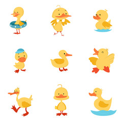 set of funny cartoon animals