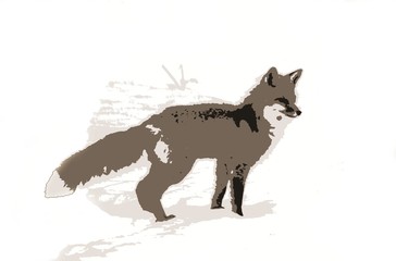 Red Fox Illustration - Standing Alert in the Snow