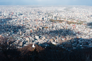 Sapporo City View