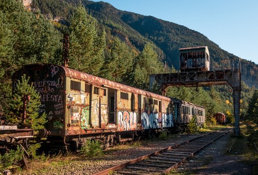 Beautiful shot of a train wagon covered in graffiti with the trees and mountains in the background