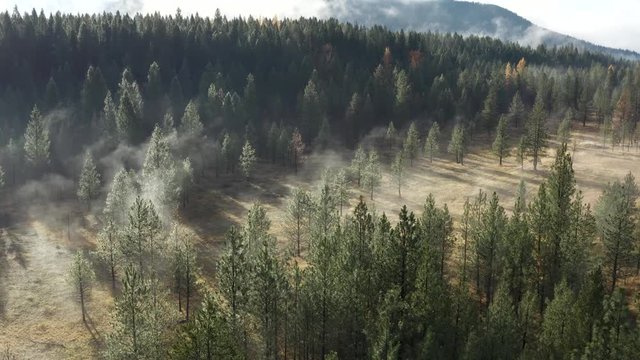 Morning mist drone pan in Fernie British Columbia, Canada