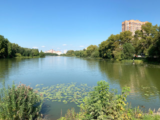 Moscow region, the city of Balashikha,  Pekhorka river in summer in Sunny weather