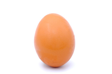 chicken egg isolated on white background
